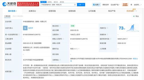 中国电信布局湖南 成立数智科技公司，专注网络与信息安全